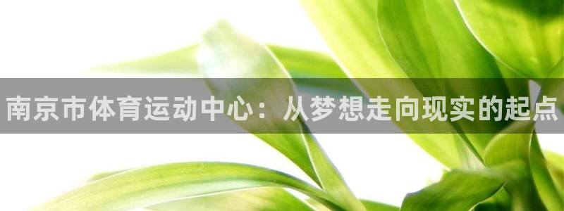 J9官方正版app集团简介：南京市体育运动中心：从梦