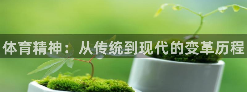 J9官网下载平台APP：体育精神：从传统到现代的变革