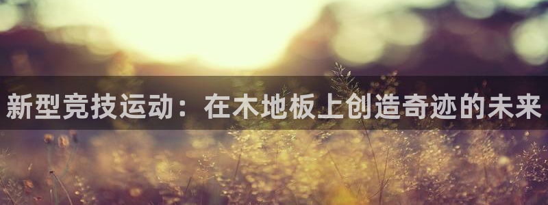 J9官方正版app娱乐下载：新型竞技运动：在木地板上创造奇迹