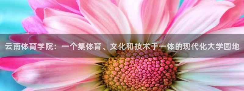 J9官方正版app科技：云南体育学院：一个集体育、文化和技术