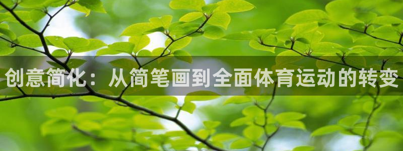 海南J9官网下载发展怎么样：创意简化：从简笔画到全面体育运动