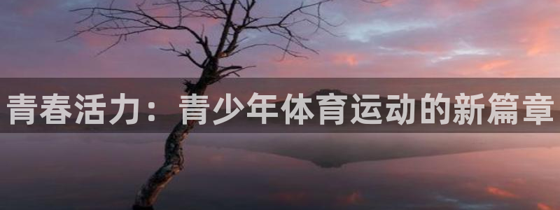 J9官方正版app娱乐代理怎么样：青春活力：青少年体育运动的