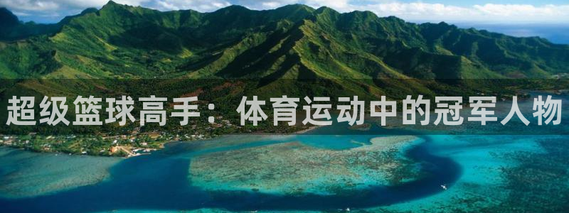 J9官网下载平台APP：超级篮球高手：体育运动中的冠军人物