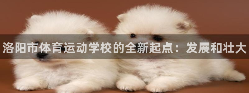 德国J9官方正版app集团：洛阳市体育运动学校的全新