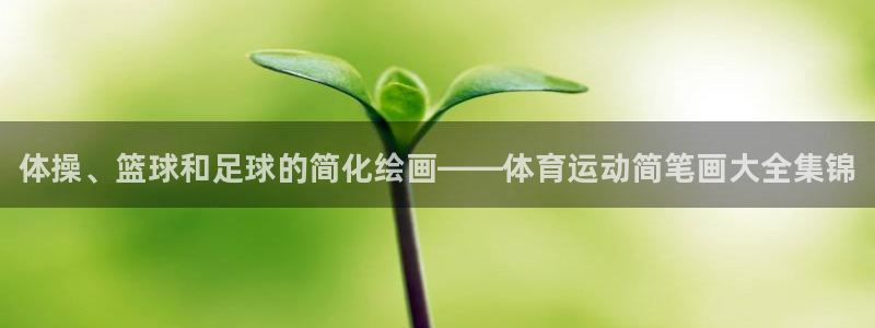 J9官网下载软件：体操、篮球和足球的简化绘画——体育运动简笔