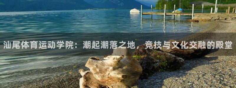 J9官网下载招商电话：汕尾体育运动学院：潮起潮落之地，竞技与
