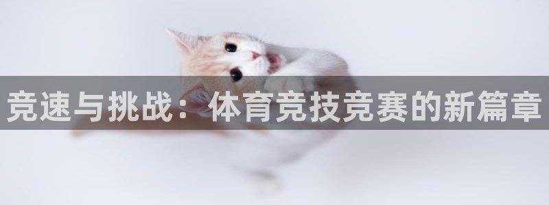 J9官方正版app娱乐是那个系列的台子：竞速与挑战：体育竞技