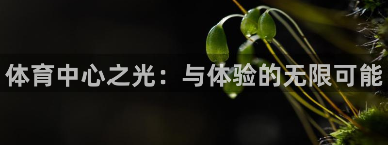 J9官方正版app新能源：体育中心之光：与体验的无限