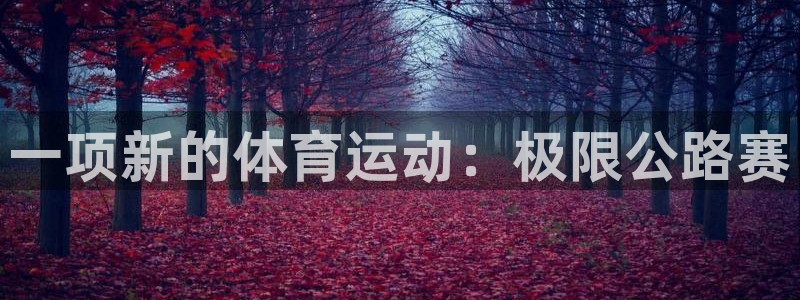 J9官方正版app新能源：一项新的体育运动：极限公路赛