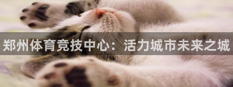 J9官网下载平台注册要钱吗：郑州体育竞技中心：活力城市未来之