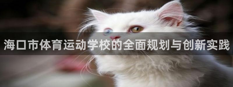 J9官方正版app集团官网首页网址：海口市体育运动学