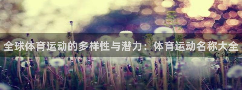 J9官网下载平台注册要钱吗：全球体育运动的多样性与潜力：体育