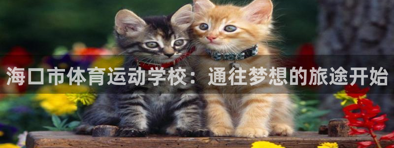 J9官网下载平台注册流程图：海口市体育运动学校：通往