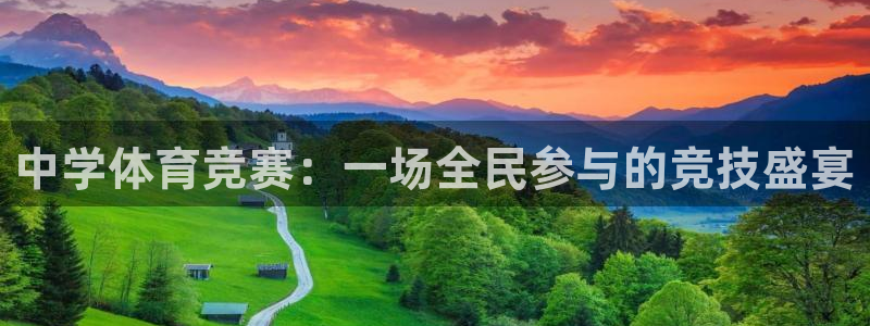 J9官方正版app新能源