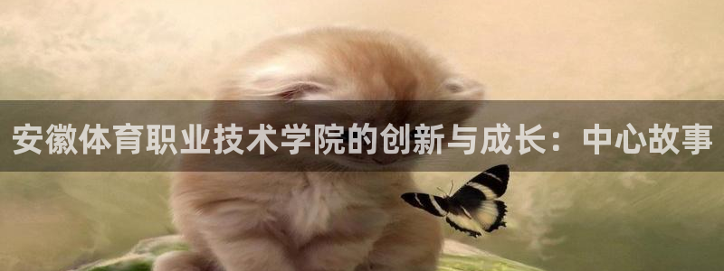 J9官网下载平台是正规平台吗：安徽体育职业技术学院的创新与成