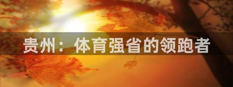 J9官网下载娱乐：贵州：体育强省的领跑者