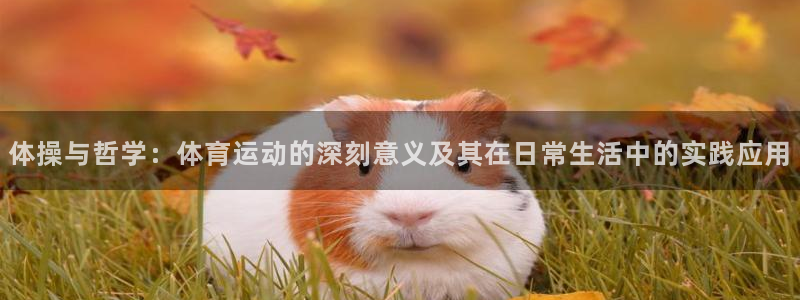 J9官网下载招商电话是多少号码：体操与哲学：体育运动