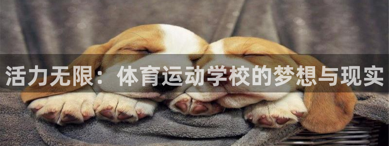 J9官方正版app娱乐代理怎么样：活力无限：体育运动